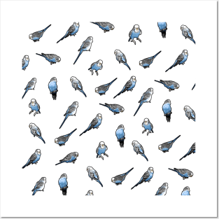 Blue English Budgie Pattern Posters and Art